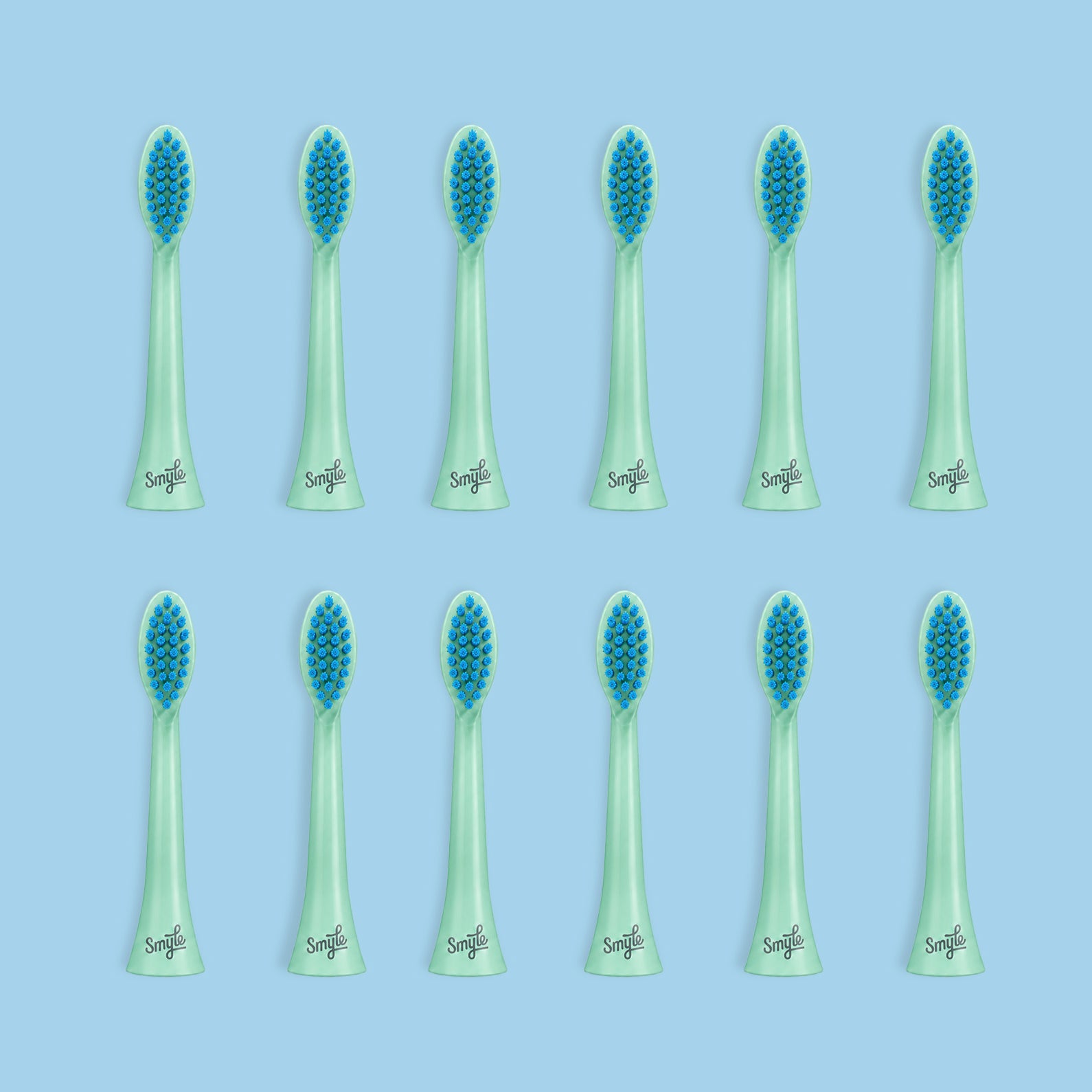 12 Pack Recycled Ocean-bound Brush Head - (Save20%)